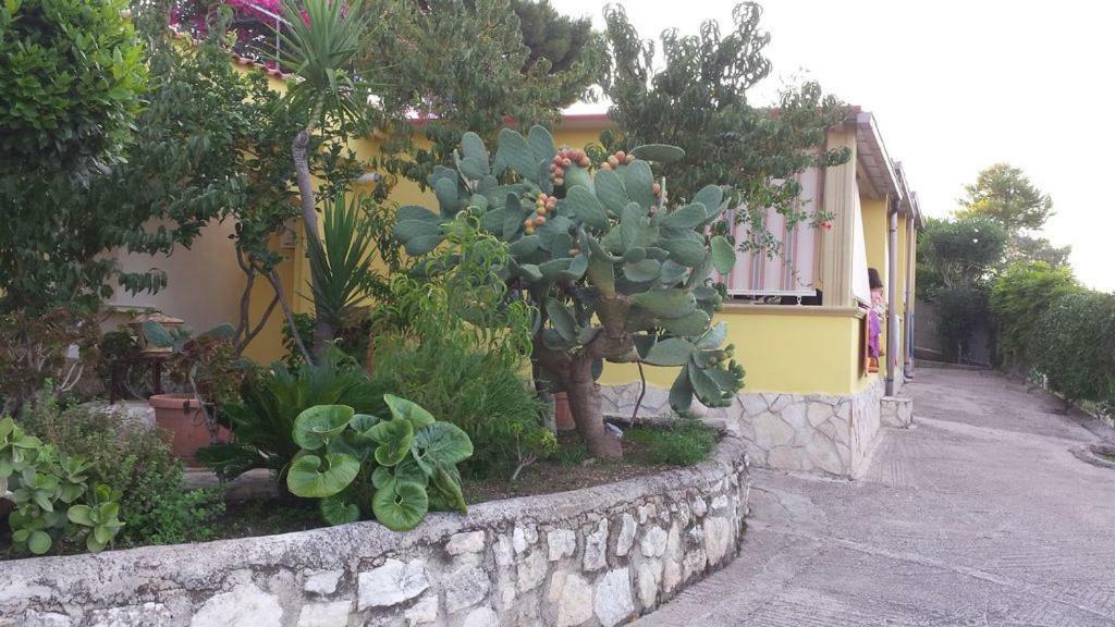 Villa Natura Sea View В'єсте Екстер'єр фото